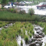 Bioretention Basin